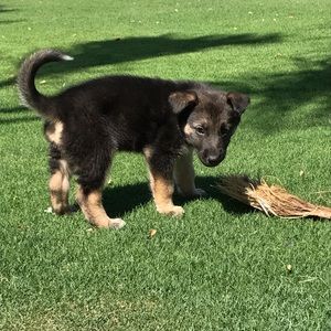 Meet your Posher, Kimberly